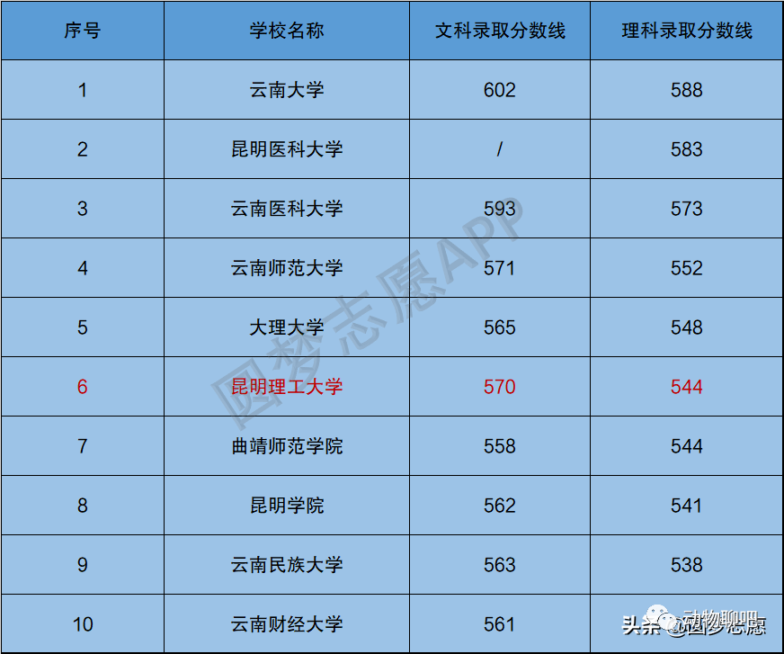 云南民族大學最低錄取分數線_云南民族大學高考錄取分數線_2023年云南民族大學錄取分數線(2023-2024各專業最低錄取分數線)