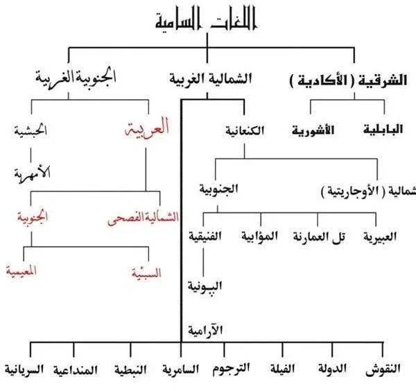 学了阿语的你,知道闪含语系中的"闪"指的是什么吗?