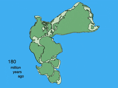 远古曾经有一个叫冈瓦纳的超级古大陆在某一时期这个超级大陆分裂成几