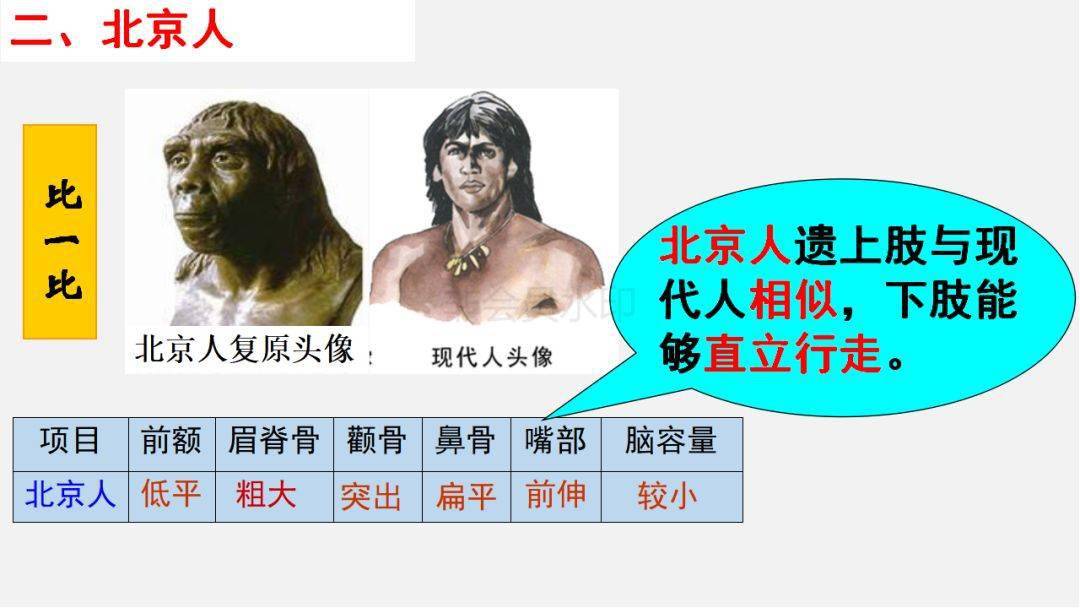 七上部编版历史第1课中国早期人类的代表北京人