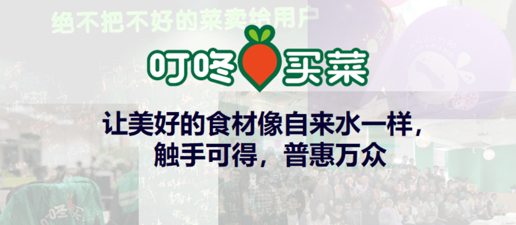 叮咚第一块自营菜地在廊下廊下镇与叮咚买菜智慧农业示范园区项目正式