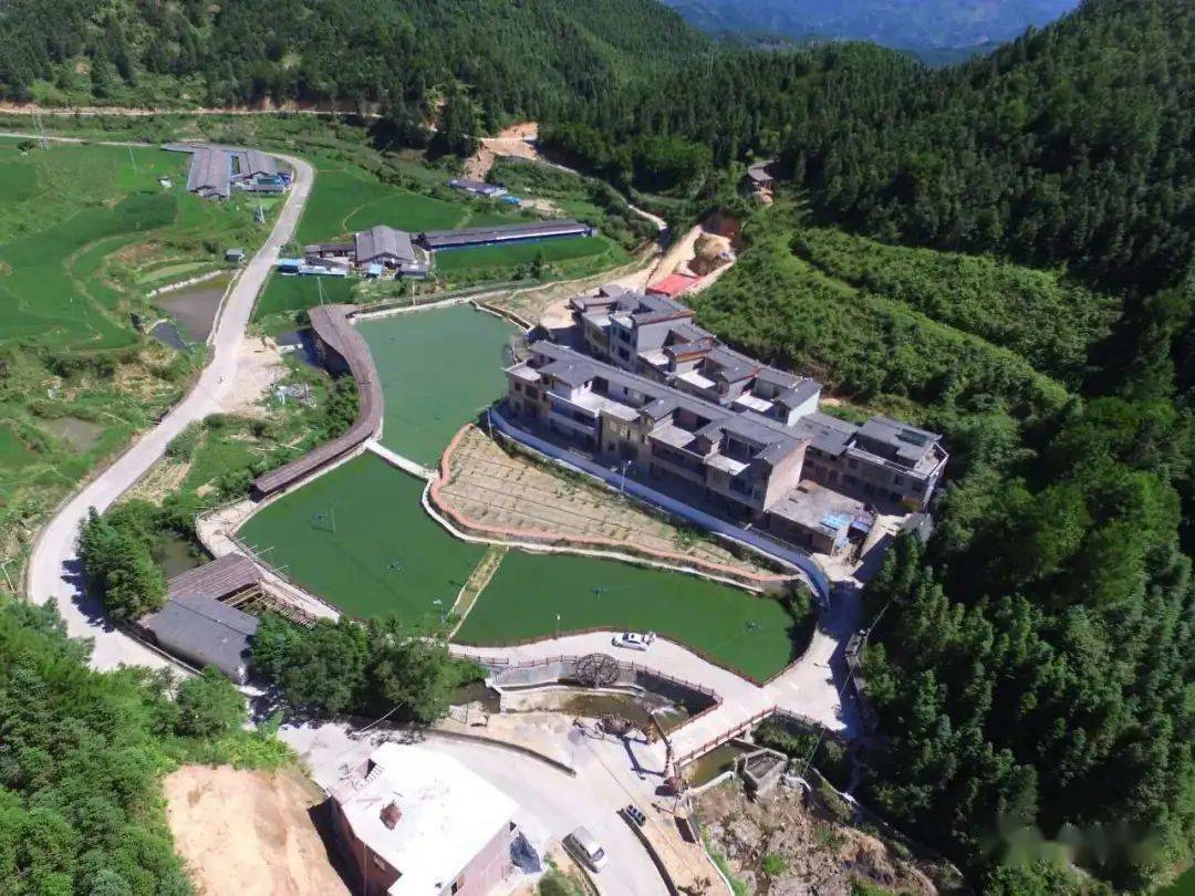 连南这群人稻田体验抓鱼乐,又好吃又好玩……_大坪镇