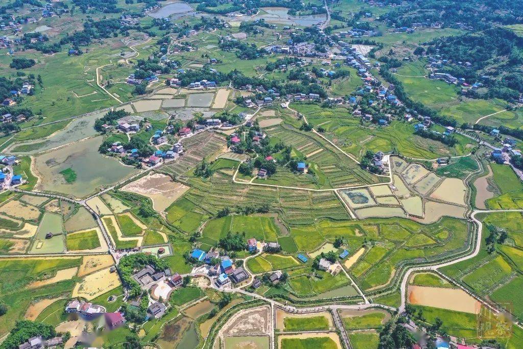 川报关注开江:推进"稻田 "成就农旅融合大产业_开江县