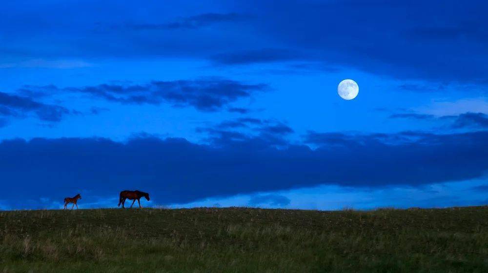听风 |《寂静的天空》(蒙语 国语)