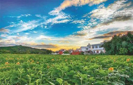 2019中國西部百強鎮揭曉,容縣這個鎮上榜,排在._玉林市