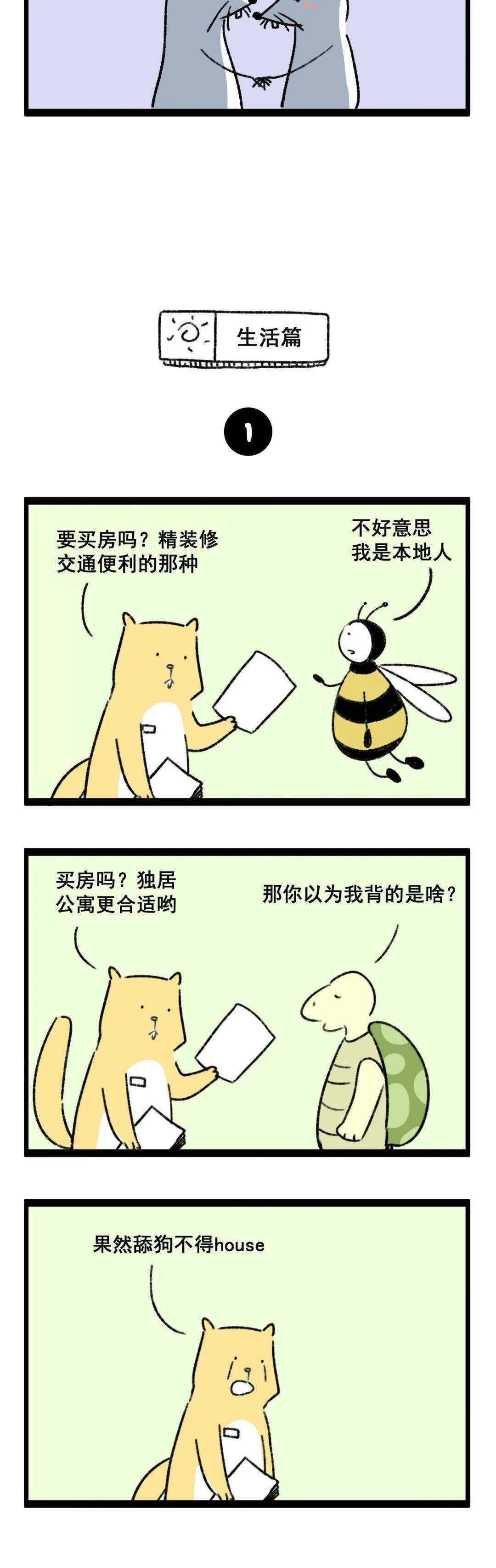 搞笑漫画——当动物学会说冷笑话!-搜狐大视野-搜狐新闻