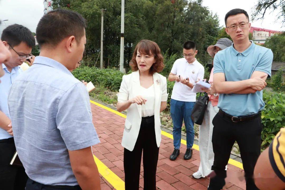 步岚调研白云区水环境及市政道路建设项目工作