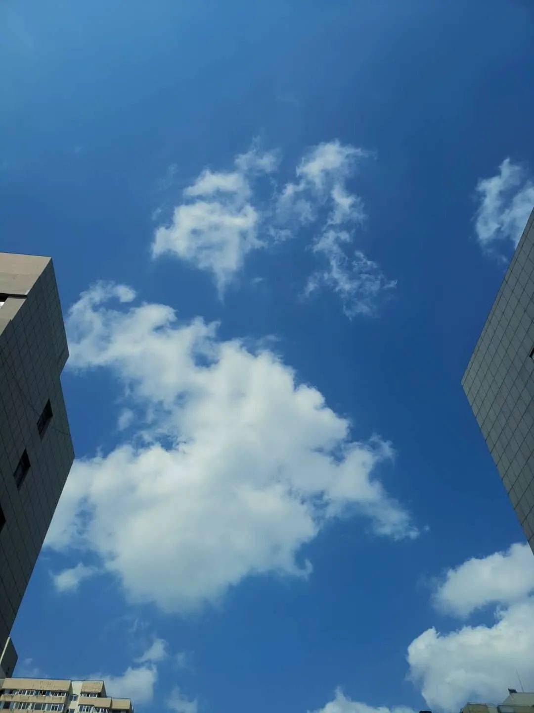 空气质量预报&天气随手拍