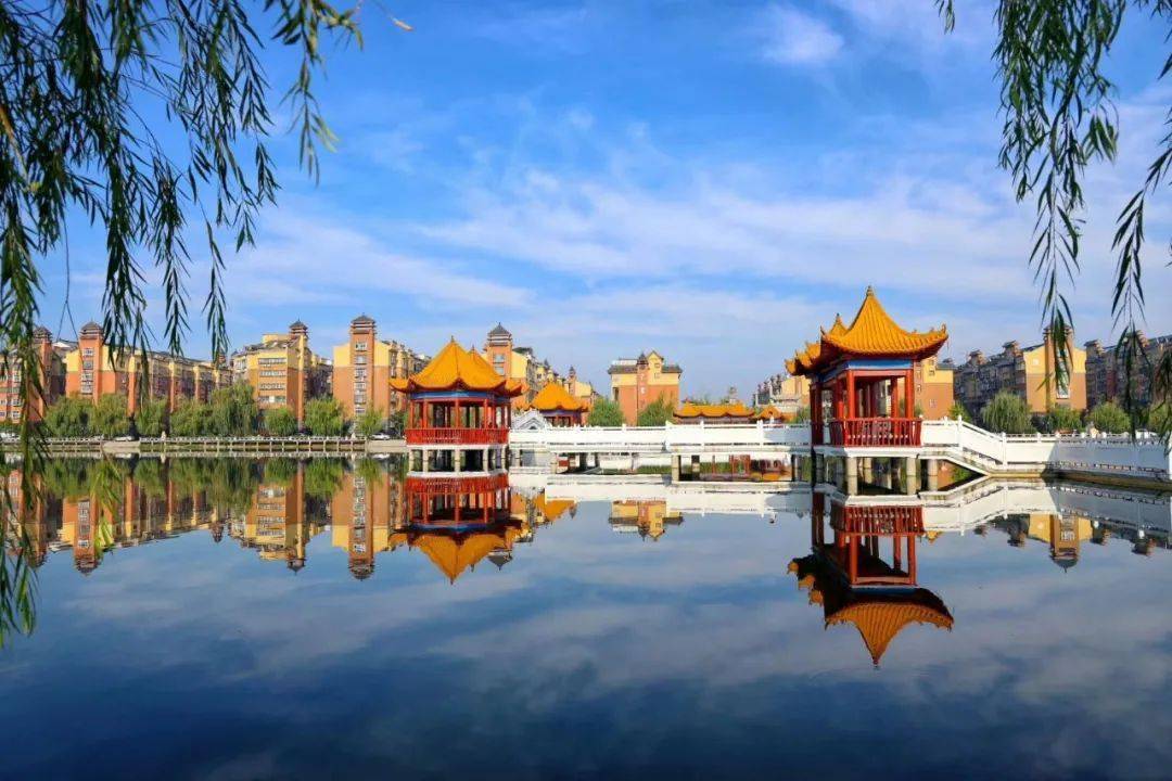 这样的淮阳爱了爱了爱了