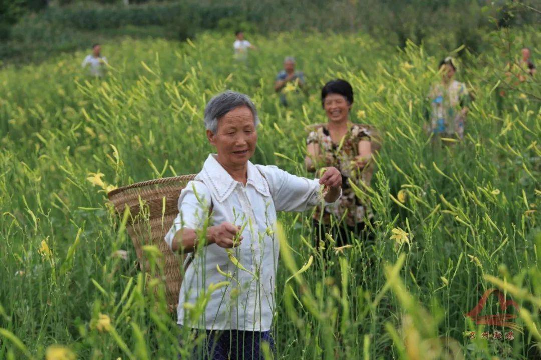 决战脱贫巴州区大罗镇走上致富奔小康的道路幸福指数不断攀升