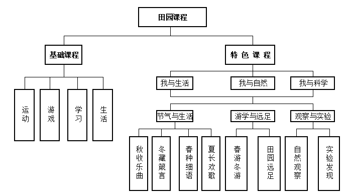 多元的课程,是田园保教质量提升的核心