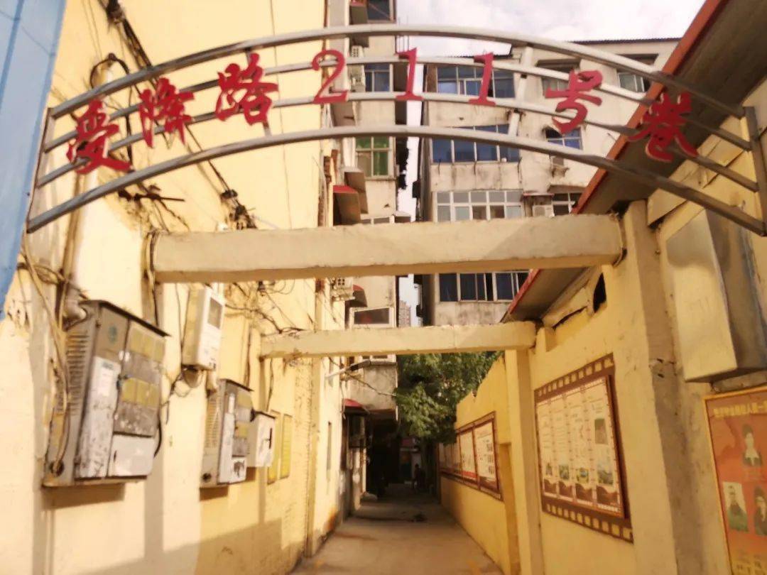 如今,漯河这些背街小巷美翻了!