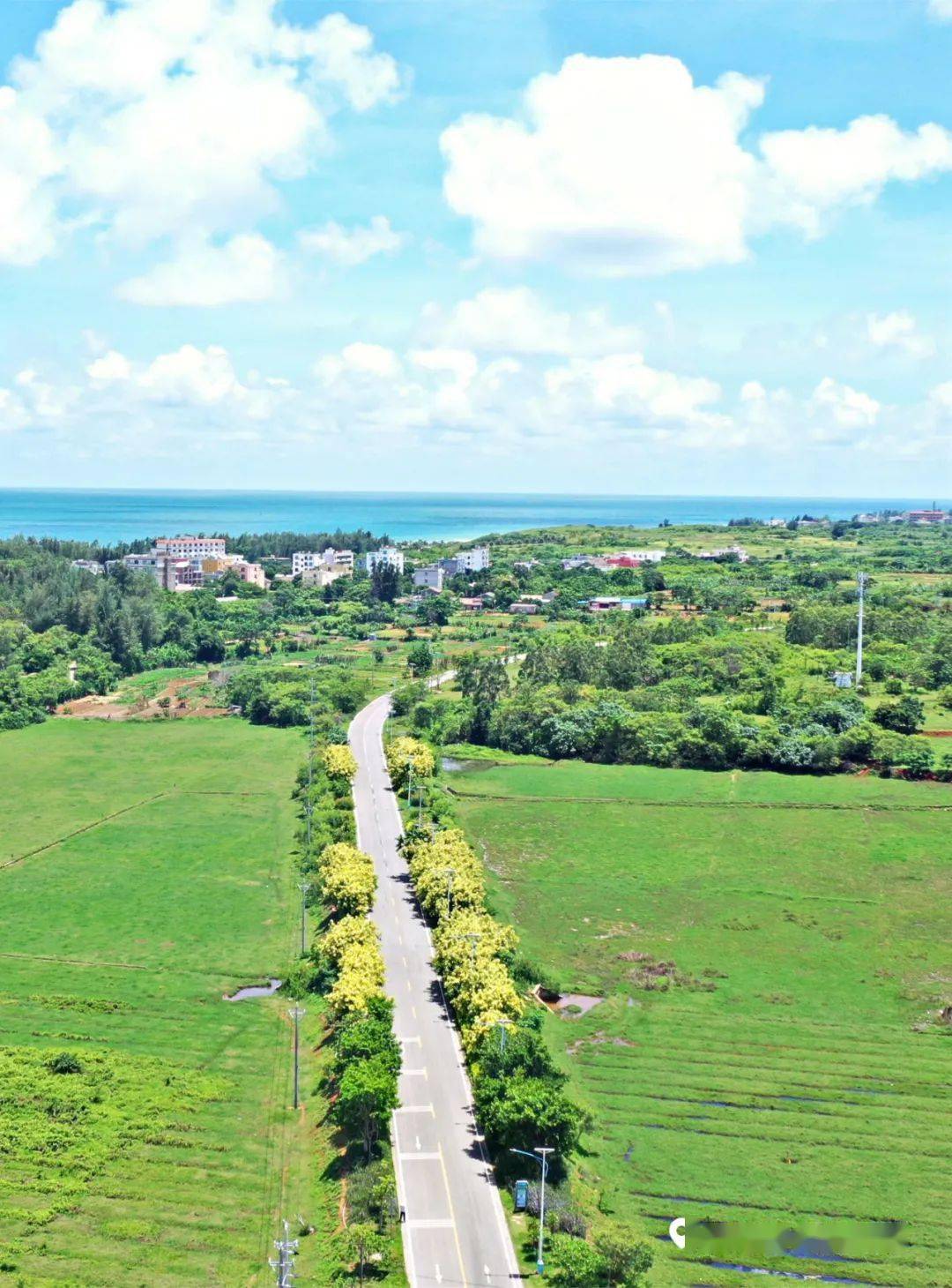 涠洲岛道路,美出新高度!