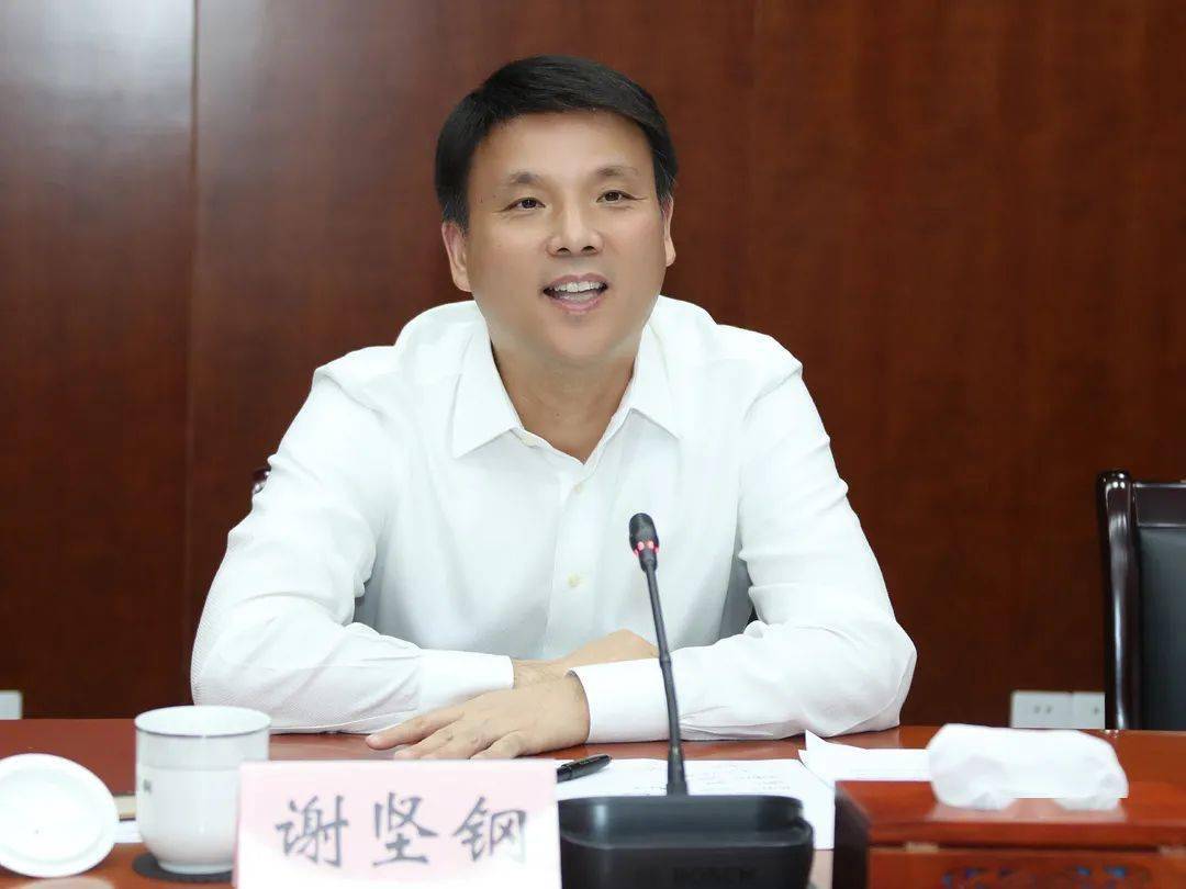 全力以赴推动合作项目落地见效谢坚钢接待上海报业集团高层一行