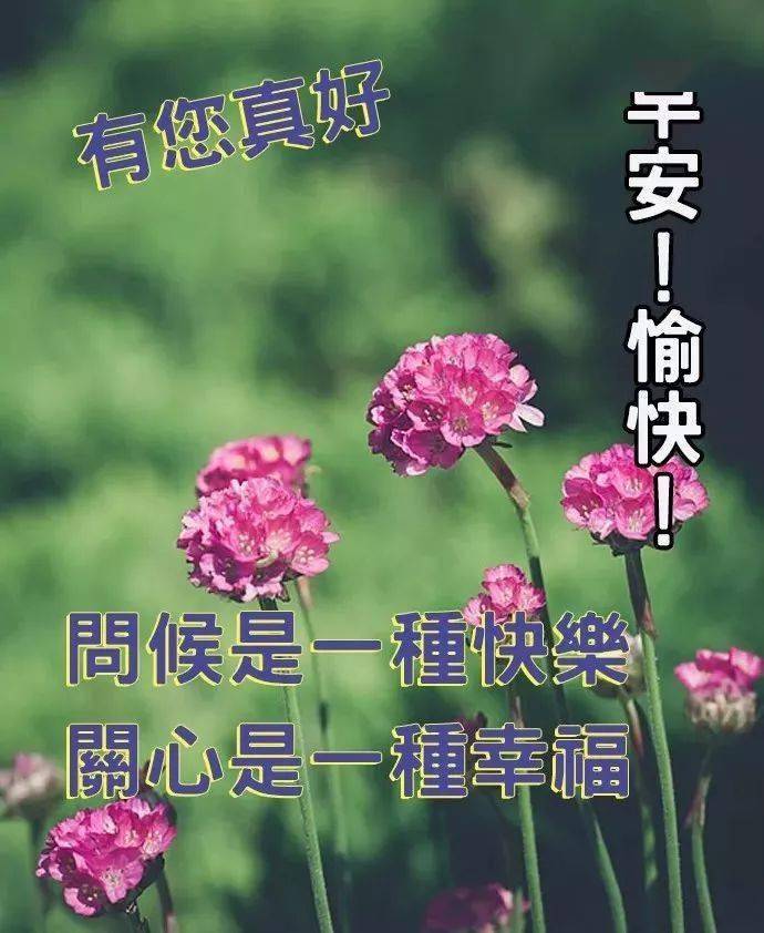 秋季早安問候圖片早晨好溫馨的祝福語錄句子