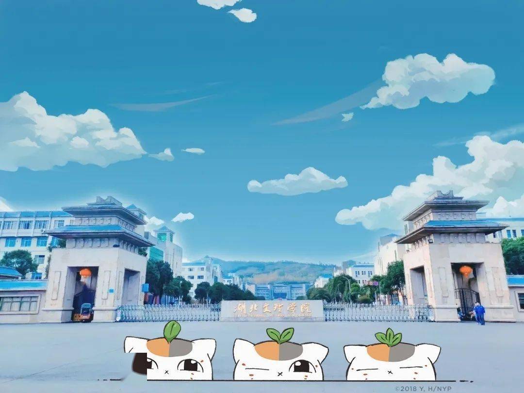 什么二次元的湖文