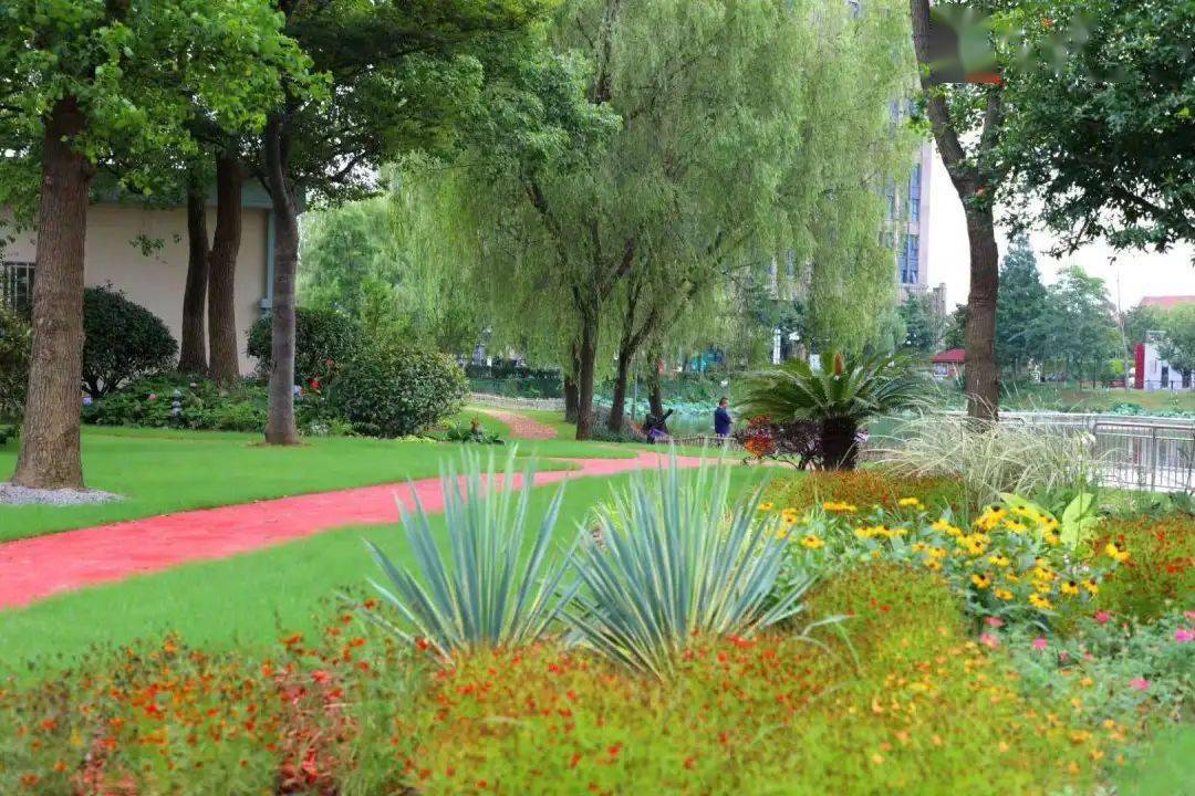 奉賢賢園街心花園建成開放,移步易景處處驚喜