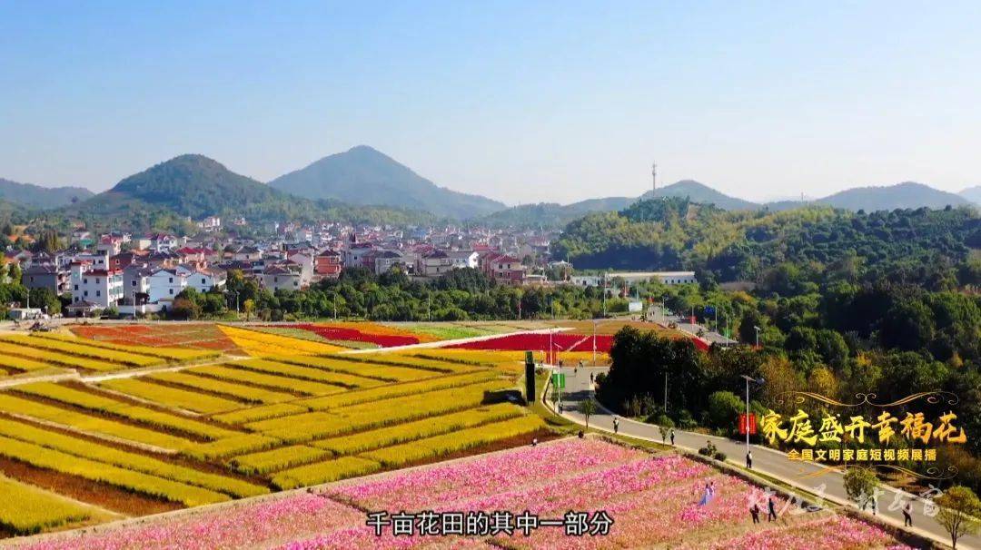 文明家庭丨他奋力为"大家" 我潜心为"小家"_棠棣村