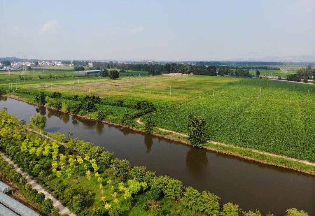 看有没有你家萧县这5个地方就要大变样萧县农村这些房屋将重点整治