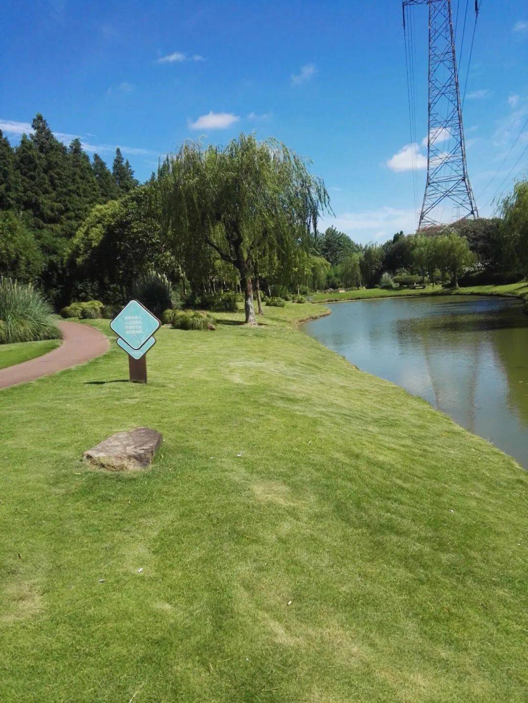 浦东新增6座城市公园,最大超37公顷!有你家门口的吗?_绿化