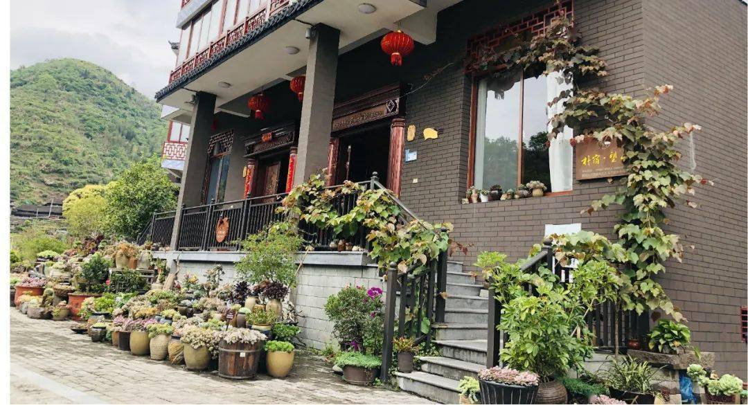 泰顺这个最美畲村受邀在全省会议上作交流_左溪