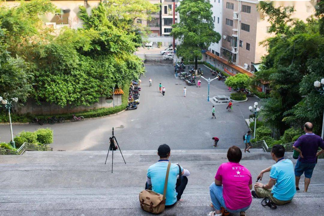 拥有大凤山,凤岭,榕园,何地岗,容山等大片山林公园,绿化面积居容桂之