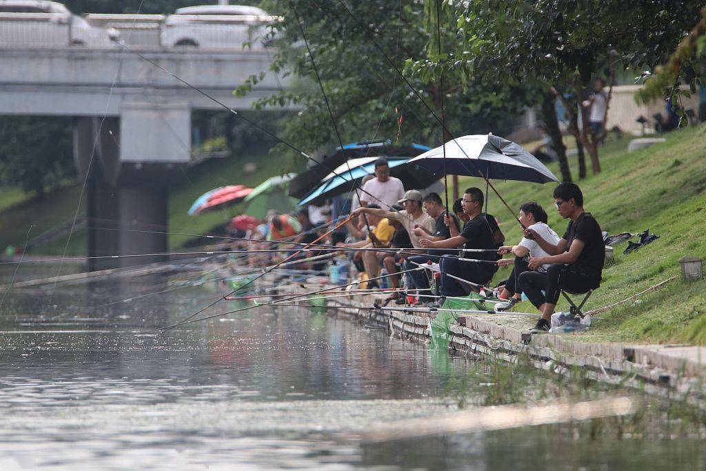 青岛:市民河边"排排坐" 周末钓鱼消遣时光_白沙河