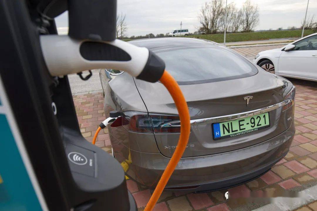 自2019年以来匈牙利的绿色牌照汽车数量翻了一番