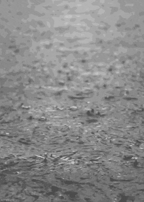 夜晚下雨动态图片