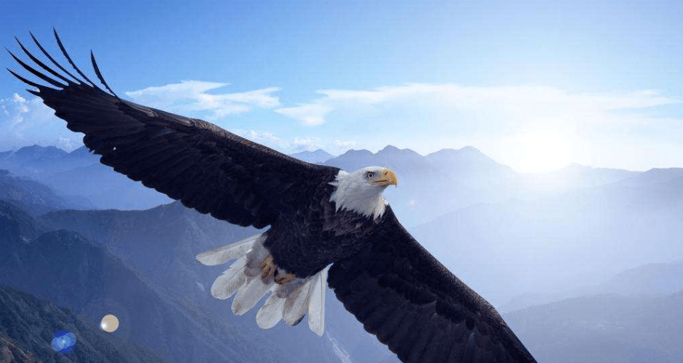 九月"鹰"飞,致梦矿山