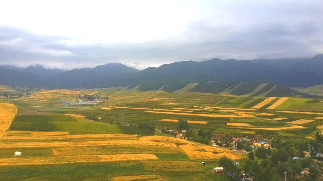 印象天祝哈溪秋景