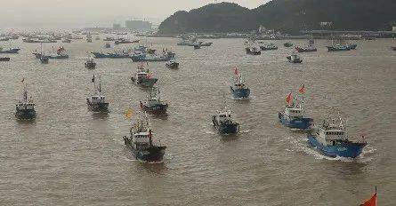 直击东海开捕大直播现场