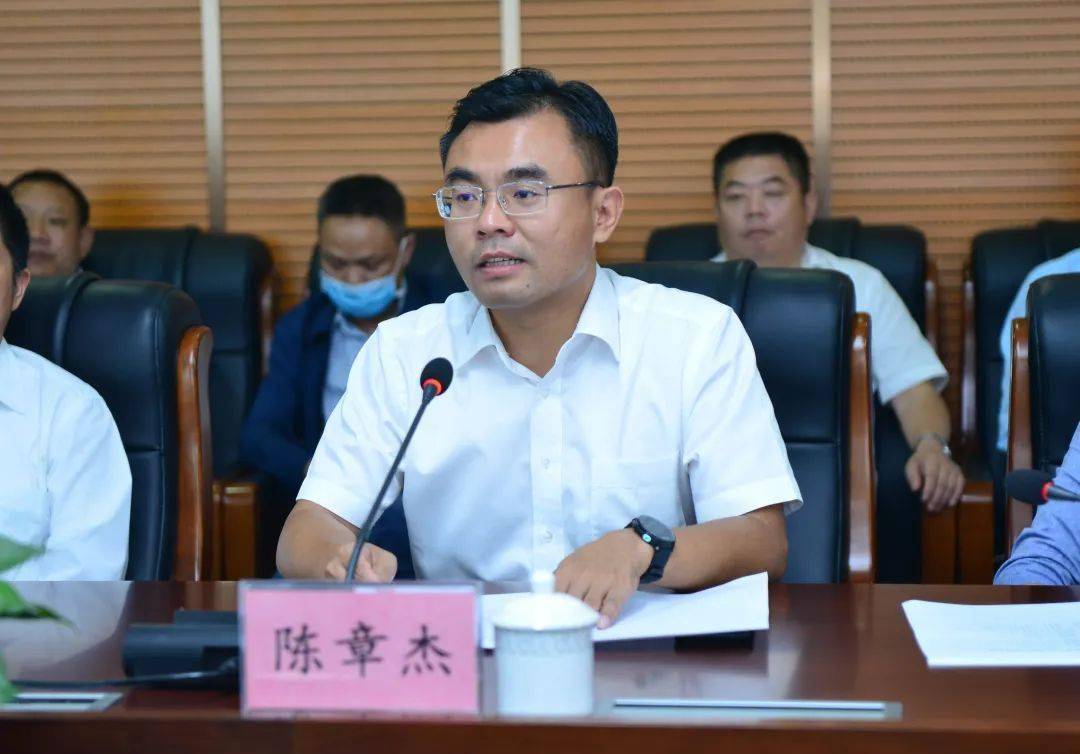 临澧县委书记陈章杰讲话.