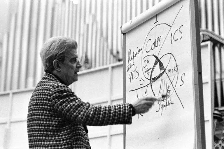 王晨阳读拉康传二十世纪法兰西的精神挽歌