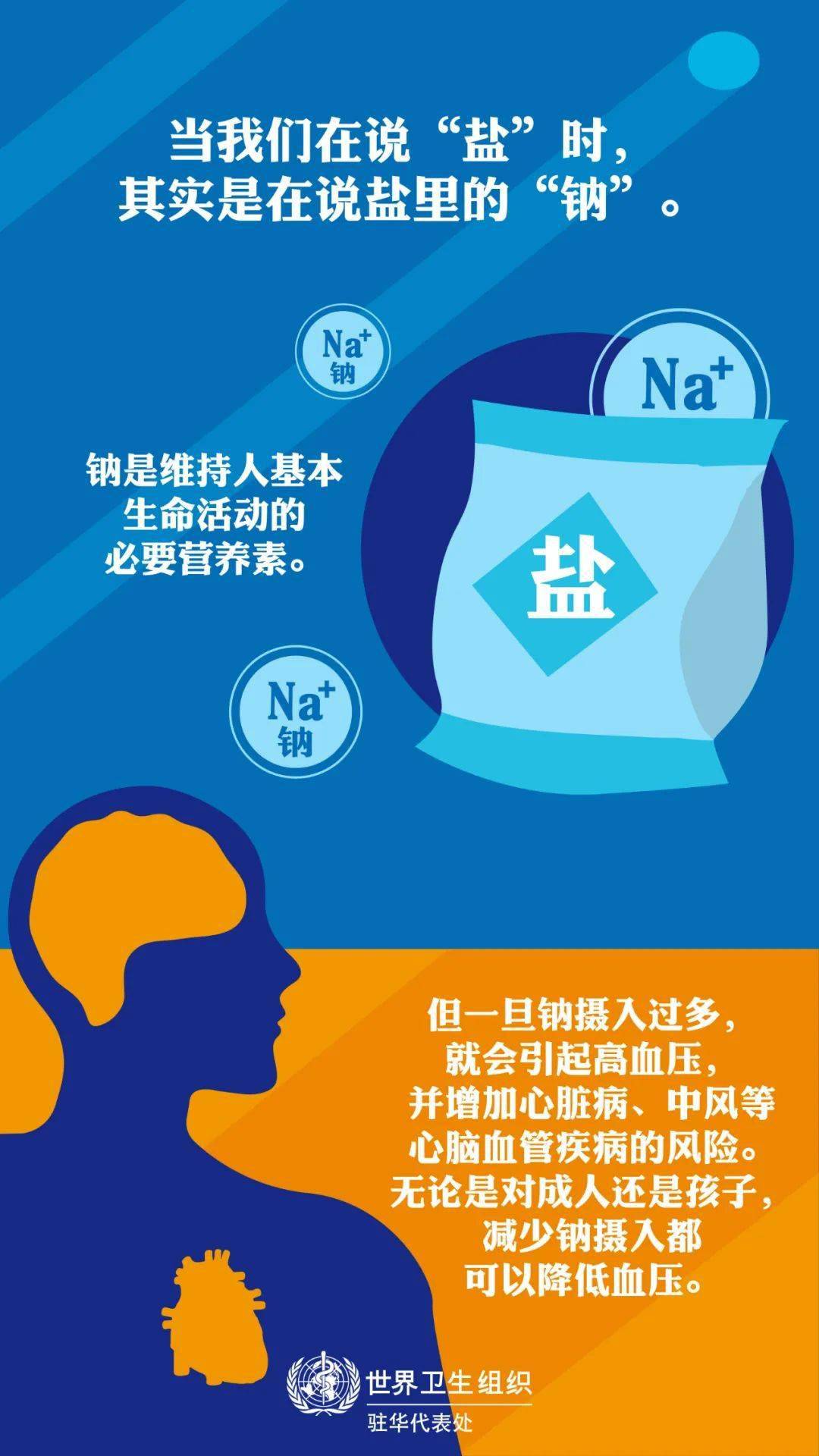 加工病死猪肉_病死猪案_南大食品加工病死猪