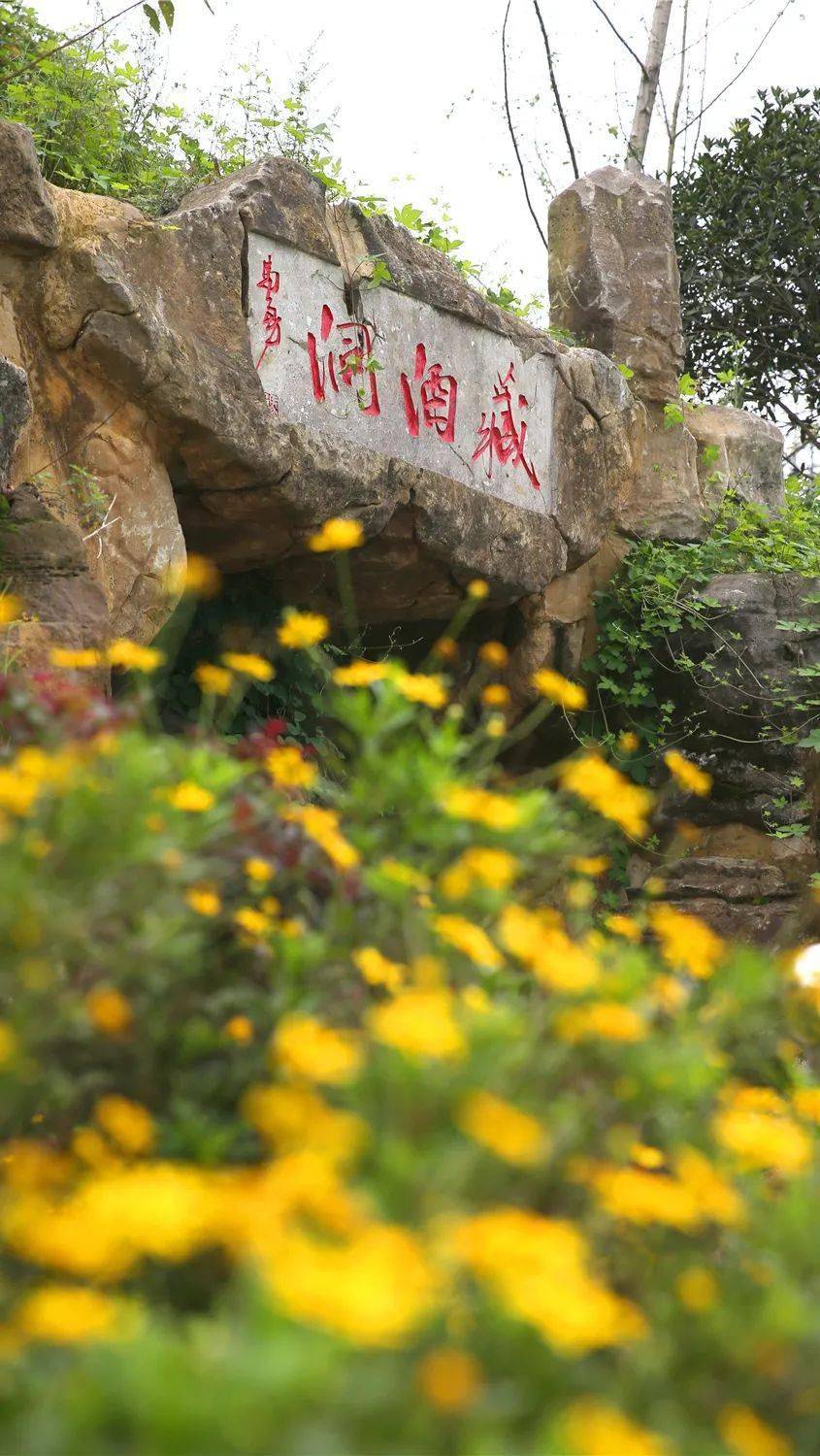 推动农商文旅体融合发展川池酒庄走出酒旅融合发展新篇章