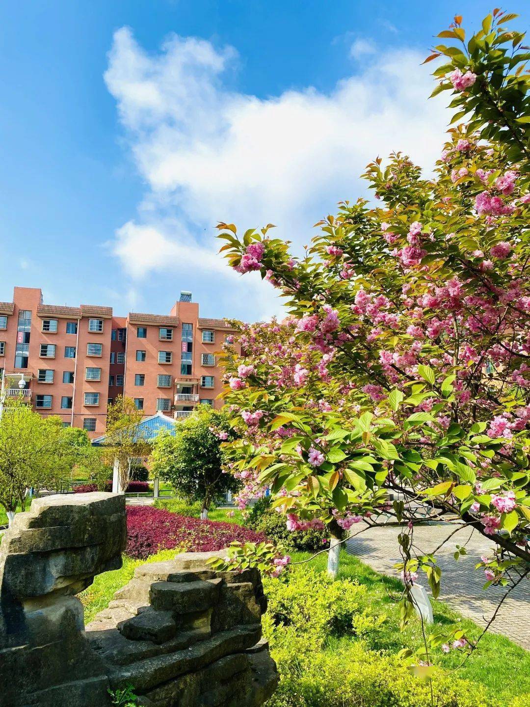 遵义市南白中学2021届公费师范生意向恳谈会公告