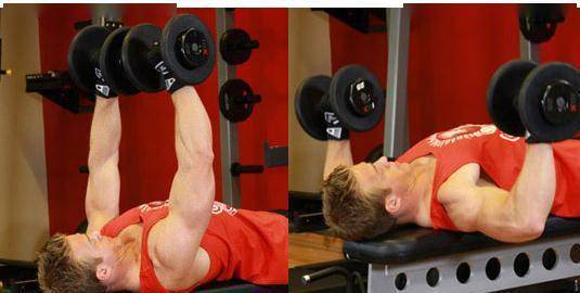 只用哑铃也能练大胸让胸型挺的更好看