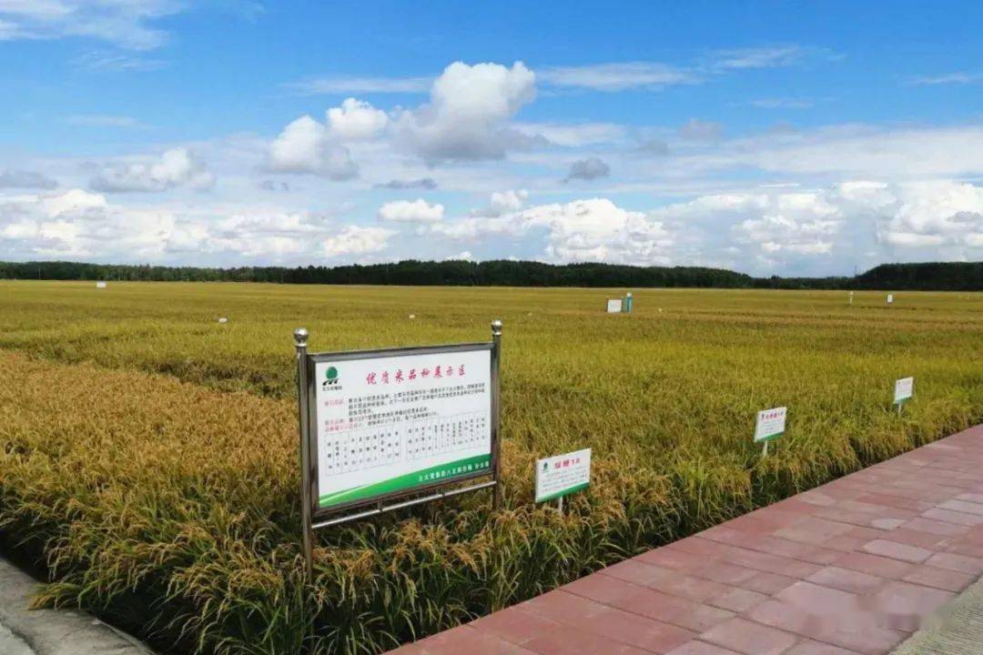 转发丰收北大荒中华大粮仓〡十大生态种养示范基地请您来品鉴