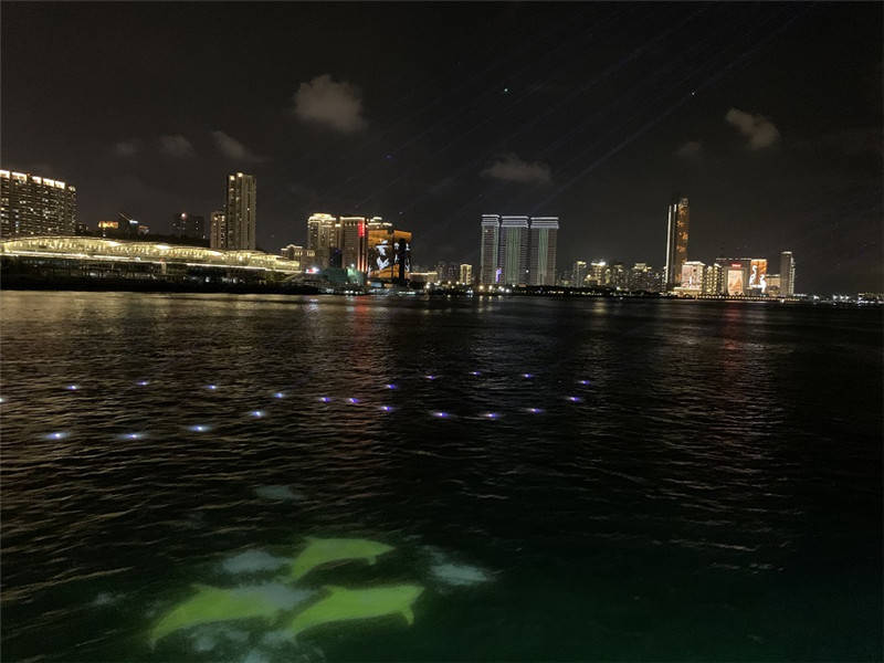 海上夜游灯光秀项目上线 厦门"夜经济"再添新活力