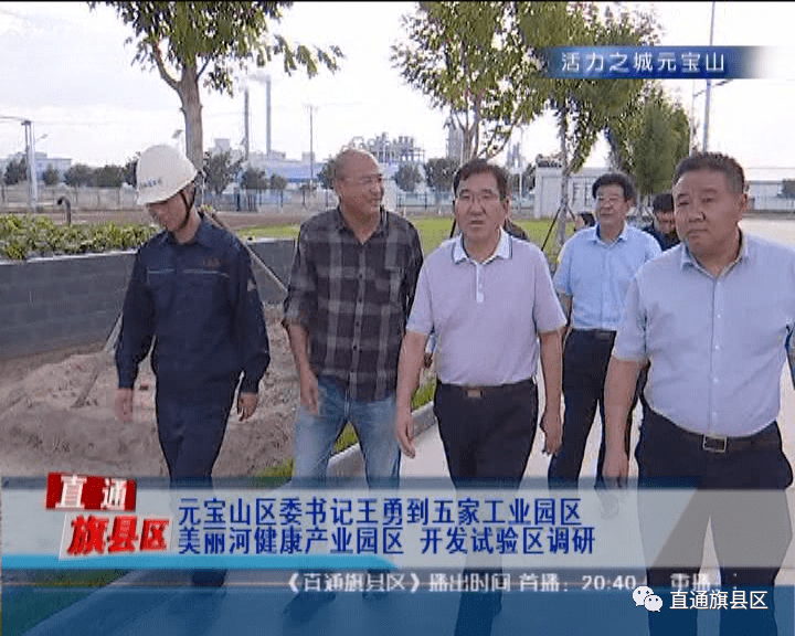 元宝山区委常委,区委办公室主任周占利,元宝山区副区长付秀辉参加调研