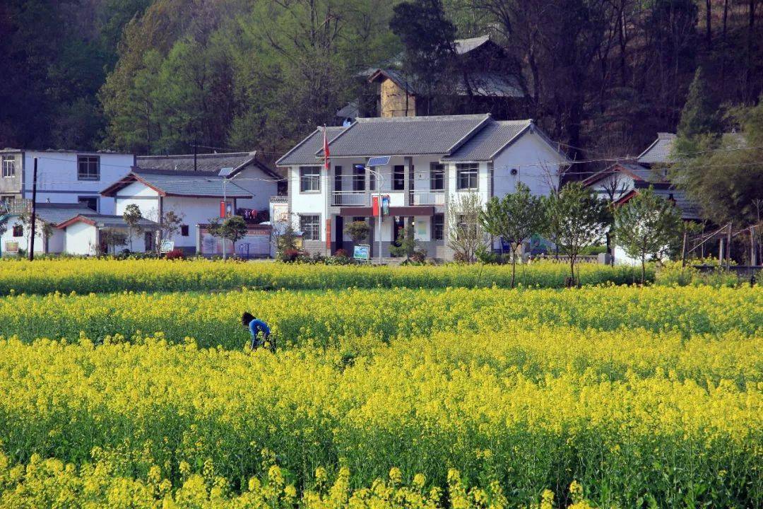 【慢游中国美丽乡村康县】康县沧桑巨变的十年