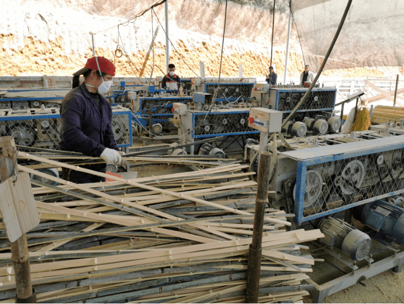 东鹊村人的自豪:断"穷根"奔小康