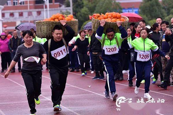 运动会热闹景象丰收季里不能不提享有盛名的秭归脐橙本次农民丰收节