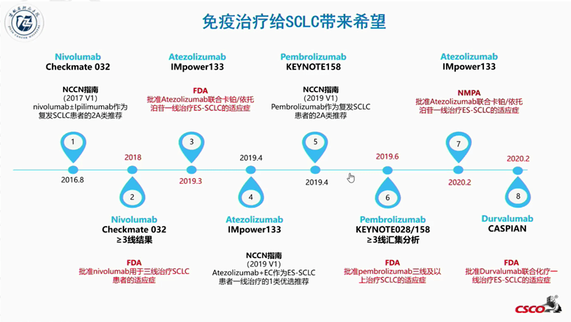 2020csco速递丨程颖教授小细胞肺癌免疫治疗的未来