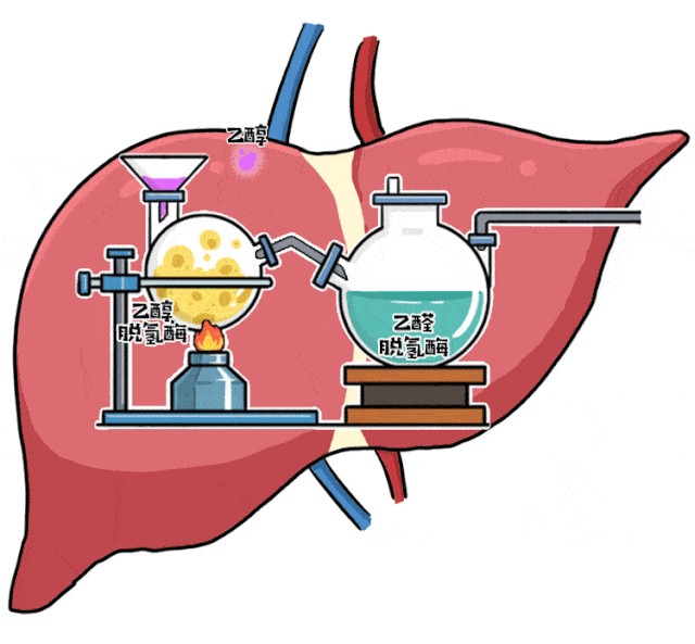 640_593gif 动态图 动图