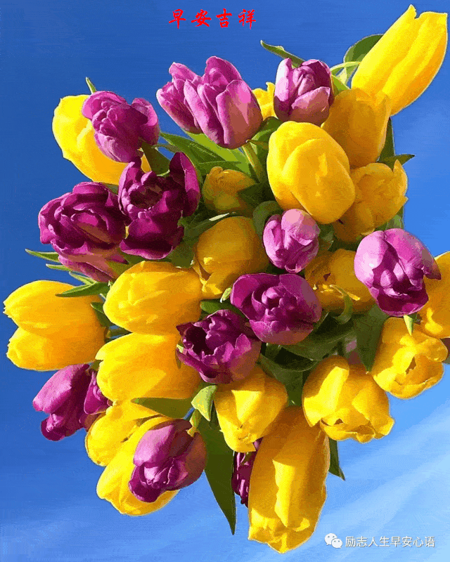 640_800竖版 竖屏gif 动态图 动图