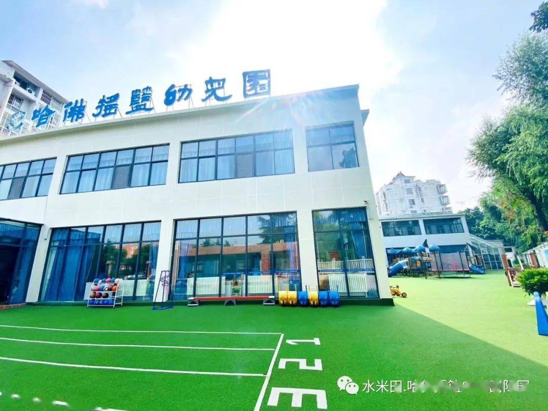 哈佛摇篮