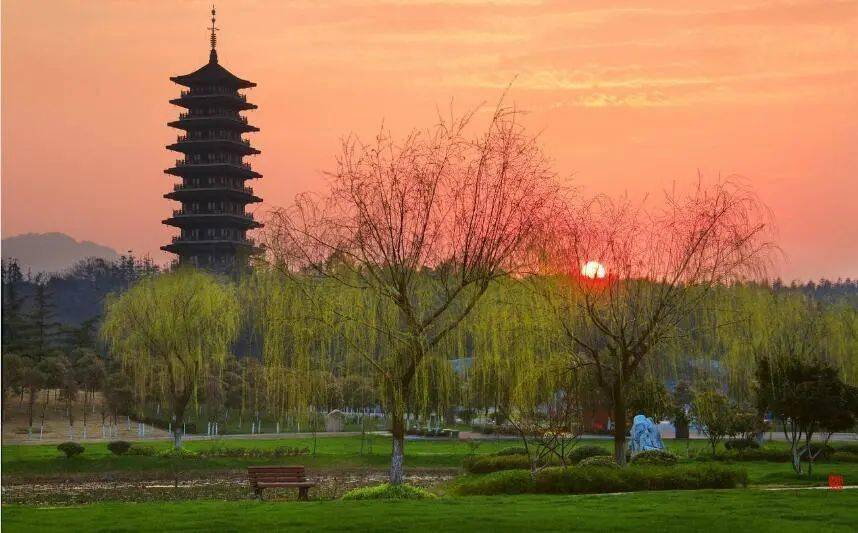 天下任我行宜兴美景龙背山森林公园