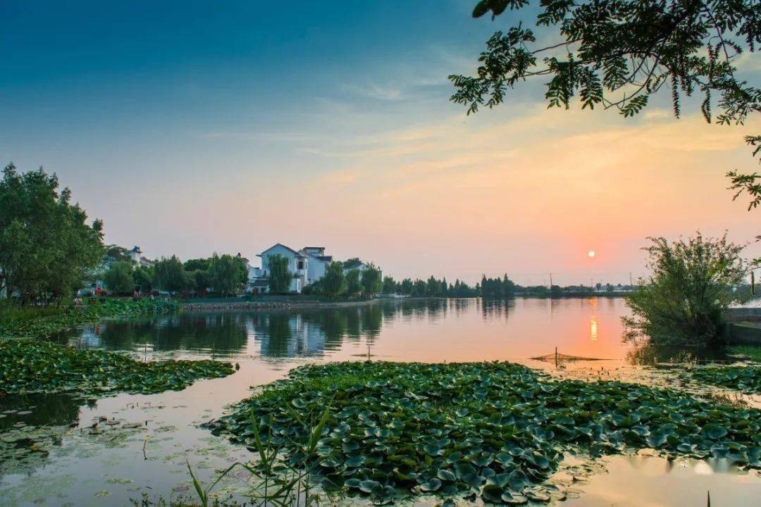 芜湖湾沚区现代家园图片